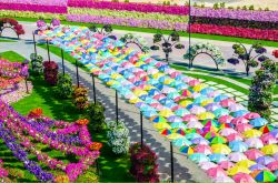 I colori del Dubai Miracle Garden dovrebbero ...