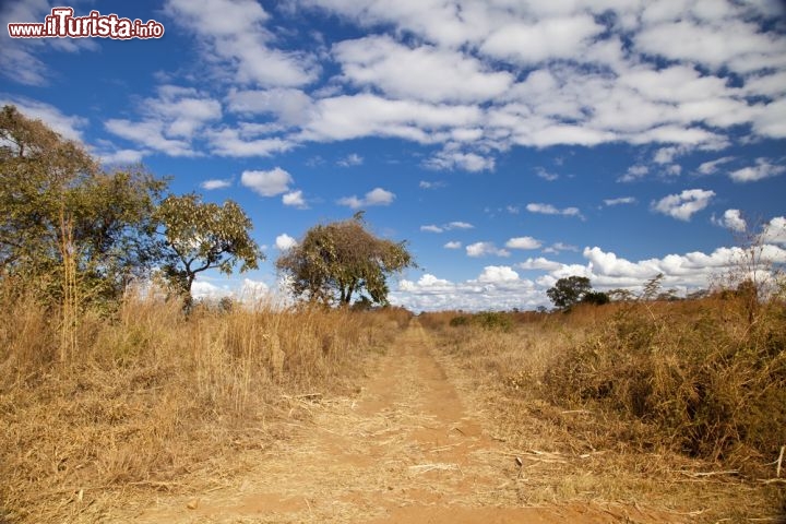 Le savane dello Zambia esplorate con grande difficoltà dal Dottor Livingstone, sono oggi meta di mumerosi safari da parte dei turisti - © HeinSchlebusch / Shutterstock.com