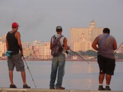 I contrasti di Cuba