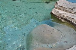 Le monetine nella Fontana di Trevi a Roma