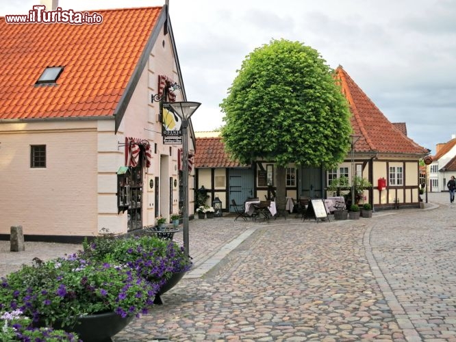 Immagine Odense, Danimarca: una strada acciottolata nel centro della città più importante dell'isola di Fionia