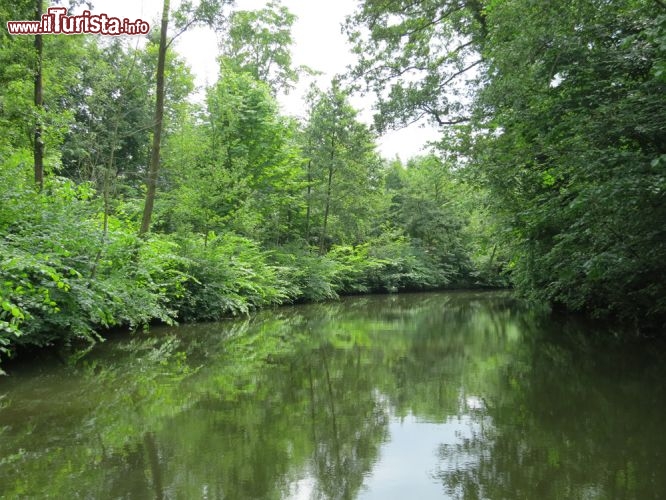 Immagine Il Parco del fiume ad Odense, in Danimarca