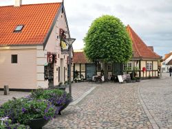 Odense, Danimarca: una strada acciottolata nel centro della città più importante dell'isola di Fionia