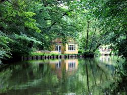 Riflessi poetici nel parco del fiume a Odense