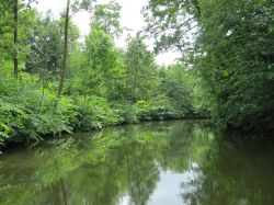 Il Parco del fiume ad Odense, in Danimarca