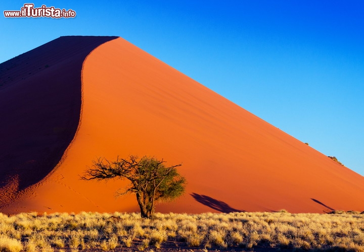 Il deserto del Namib, Namibia - UNESCO - Si estende per lo più in Namibia, alla quale dà il nome, ma sfocia anche nell’Angola e nella Repubblica Sudafricana: è il deserto del Namib, che nella lingua del popolo Nama, nativo della regione, significa “luogo vasto”. Vasto è dir poco: il deserto più antico del mondo, arido da oltre 80 milioni di anni, è un’infinita distesa di sabbia e dune che supera i tre milioni di ettari. Ha il fascino tipico dei luoghi ostili, dove la vita è difficile ma la natura sembra incantata, e ha la particolarità che le sue dune si sono formate con materiali trasportati dai fiumi, dalle correnti oceaniche e dal vento da migliaia di chilometri di distanza. Il territorio, che in buona parte è compreso in riserve naturali protette tra cui il Namib-Naukluft National Park, è uno splendido affresco di pianure di sassi, altopiani costieri, colline rocciose, lagune e torrenti stagionali - © JaySi / Shutterstock.com
