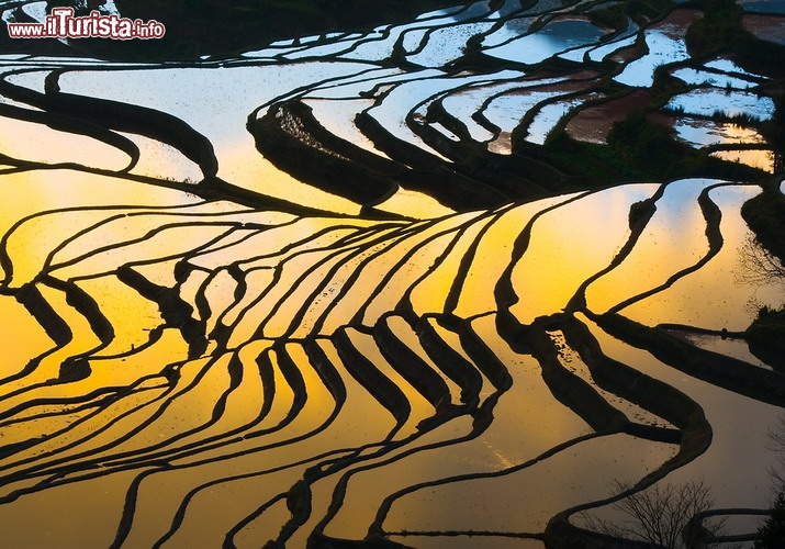 Le risaie a terrazzamenti dello Yunnan, Cina - UNESCO - La Cina è al secondo posto, dopo l’Italia, tra i paesi più rappresentati nella lista dei siti UNESCO. Nel 2013 si aggiungono all’elenco le risaie del sud dello Yunnan, che si sviluppano su un’area di 16,603 ettari in terrazzamenti spettacolari, abbarbicati lungo i pendii delle montagne Ailao e protesi verso le rive del fiume Hong. Il popolo Hani ha realizzato, nel corso degli ultimi 1.300 anni, un sofisticato sistema di canali per irrigare la zona, portando l’acqua necessaria dalle foreste montane, e ha anche dato vita a un ciclo agricolo integrato che coinvolge bovini, anatre, pesci e altri animali, e favorisce la produzione del riso rosso, principale prodotto dell’area. I terrazzamenti hanno un grande valore paesaggistico e culturale poiché testimoniano l’armonia tra la natura e il popolo Hani, che vive in alcuni villaggi situati tra le risaie e i boschi, composti da capanne dalla tradizionale forma a fungo - © Jason KS Leung / Shutterstock.com
