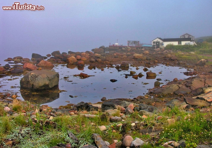 Stazione baleniera di Red Bay, Canada - UNESCO - Se la città canadese di Red Bay ha conquistato la commissione UNESCO è per la sua rilevanza storica e per l’interessante patrimonio archeologico sottomarino. Situata nella provincia di Terranova e Labrador, sulla punta nord-orientale del Canada lungo la costa dello stretto di Belle Isle, è un’antica stazione baleniera fondata dai baschi nel Cinquecento. I fondatori del villaggio di pescatori la chiamavano Gran Baya, e se ne servivano come base per la caccia delle balene e la produzione e lo stoccaggio di olio di balena, che veniva venduto in Europa dove veniva utilizzato per l’illuminazione. Il sito archeologico rappresenta la prima e meglio conservata testimonianza di questa attività, e conserva tuttora forni, banchine, alloggi per i lavoratori e anche un cimitero, oltre ai resti di navi e ai depositi di ossa di balena. Dopo soli 70 anni la stazione non fu più utilizzata, causa estinzione della popolazione locale di balene - © Todd Boland / Shutterstock.com