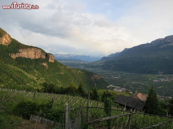 Immagine Maso Oberlegar a Terlano. non distante da Merano, Alto Adige