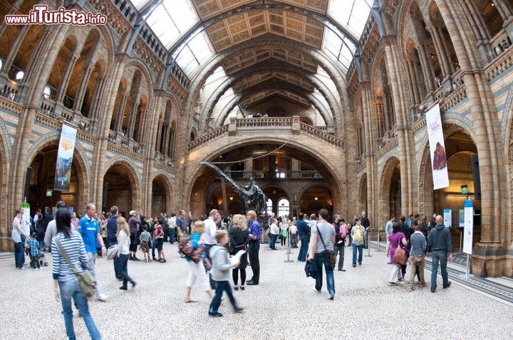 Immagine Interno del Museo di Storia Naturale in centro a Londra (Kensington) - © pio3 / Shutterstock.com