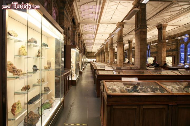 Immagine Le collezioni del Natural History Museum, il museo gratuito di Londra - © Bikeworldtravel / Shutterstock.com