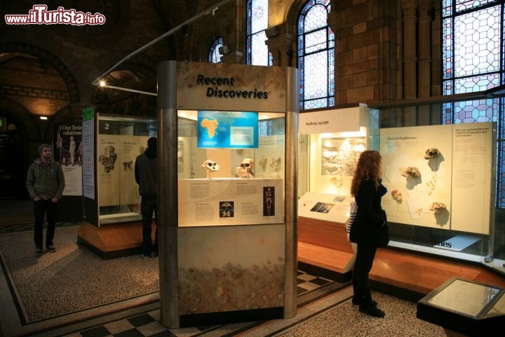 Immagine Visita del Museo di Storia Naturale a Londra a Kensington - © Bikeworldtravel / Shutterstock.com