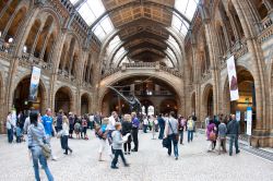 Interno del Museo di Storia Naturale in centro a Londra (Kensington) - © pio3 / Shutterstock.com 