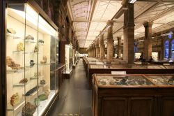 Le collezioni del Natural History Museum, il museo gratuito di Londra - © Bikeworldtravel / Shutterstock.com 