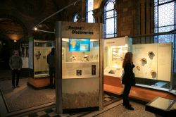 Visita del Museo di Storia Naturale a Londra a Kensington - © Bikeworldtravel / Shutterstock.com 