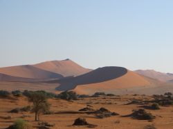 Il deserto della Namibia è famoso per le sue dune, specialmente nella zona di Sossusvlei dove oltre le calssiche dune a barcane si possno ammirare delle enormi dune a stellam, alte più ...