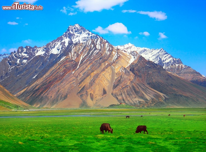 Paesaggio idilliaco nello stato di Jammu e Kashmir, in India - Lo stato più settentrionale dell'india si trova nel cuore dell'Himalaya, in una zona contesa tra Pakistan, Cina ed ovviamente l'India che ne detiene l'amministrazione, con un governo di tipo militare. Queste tensioni geopolitiche stridono con la fiera bellezza dei luoghi, che si snodano tra le montagne più belle della Terra, ma che però rendono problematici i viaggi.

La Farnesina sconsiglia al momento i viaggi nel Kashmir, se si esclude la regione del Ladakh, dato che si sono vericati alcuni episodi di terrorismo, sia in versante indiano che Pakistano.

Qui per essere informati e Viaggiare Sicuri in India

© Natalia Davidovich / Shutterstock.com