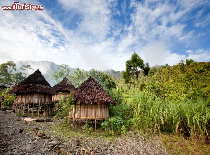 Tradizionale villaggio di montagna in Papua Nuova Guinea - Il territorio di questa selvaggia nazione varia da  grandi pianure alluvionali fino ad aspre montagne che toccano i 4.500 metri di altitudine, e con una grande estensione ricoperta da foreste pluviali. Oltre alla natura selvaggia l'isola è abitata da tantissimi gruppi etnici, e disseminata di villaggi come questo, dalle capanne spettacolari che si integrano perfettamente al paesaggio

© Tyler Olson / Shutterstock.com