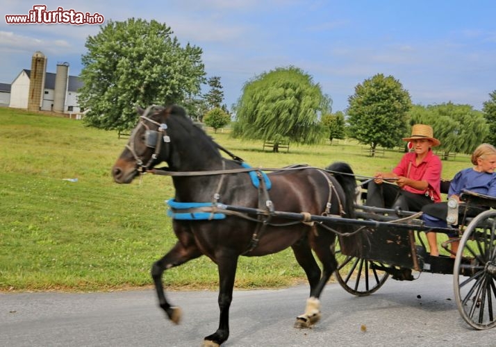 Due bambini amish a bordo di un calesse -  l team si è immerso nell'atmosfera stile '800 della Contea di Lancaster in Pennsylvania, terra degli Amish. Il contrasto con la metropoli di New York City è davvero sconvolgente. - © DONNAVVENTURA® 2013 - Tutti i diritti riservati - All rights reserved