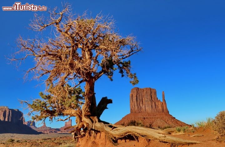 Il magico paesaggio della Monument Valley - Sullo sfondo l'Elephant Butte, la montagna a forma di elefante - © DONNAVVENTURA® 2013 - Tutti i diritti riservati - All rights reserved