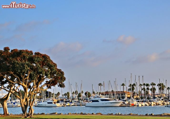 Scorcio degli yacht nel porto di San Diego - © DONNAVVENTURA® 2013 - Tutti i diritti riservati - All rights reserved