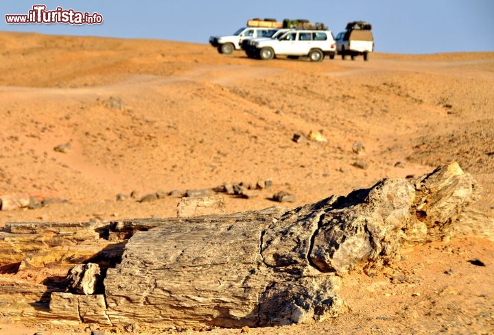 Foresta Pietrificata nel deserto del Sudan. Ci troviamo lungo il percorso di uno Uadi nelle vicinanze di Karima - Per ulteriori informazioni: I viaggi di Maurizo Levi ed in particolare il Tour del Regno dei Faraoni Neri