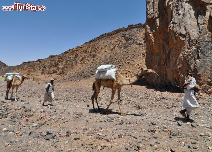 Carico di Sale sui cammelli nel cratere di Al Atrun in Sudan - Per ulteriori informazioni: I viaggi di Maurizo Levi ed in particolare il Tour del Regno dei Faraoni Neri