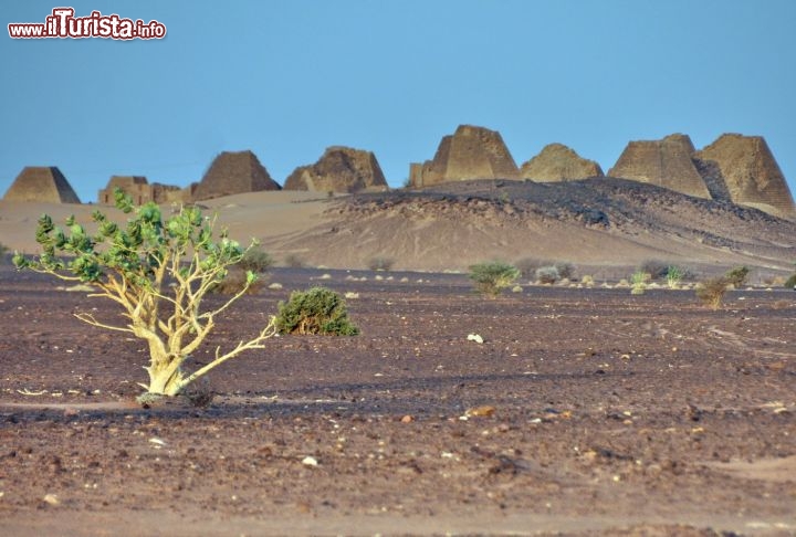 le Piramidi della necropoli reale di Meroe all'alba. Siamo in Sudan a nord est di Khartoum. Le piramidi si possono raggiungere direttamente a piedi partendo dal Campo Tendato della Maurizio Levi - Per ulteriori informazioni: I viaggi di Maurizo Levi ed in particolare il Tour del Regno dei Faraoni Neri