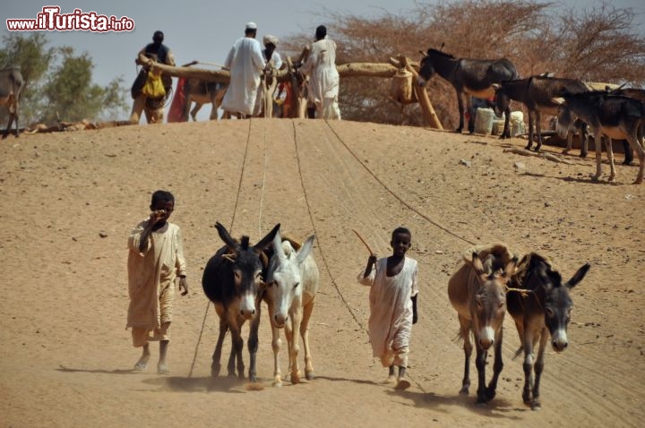 Il Gruppo etnico degli Shaqiya in Sudan, estrae acqua da un pozzo con gli asini  - Per ulteriori informazioni: I viaggi di Maurizo Levi ed in particolare il Tour del Regno dei Faraoni Neri