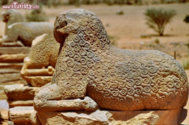 Arieti, simbolo della divinitò, in fila a Nagaa, all'ingresso del Tempio di Amon in Sudan - Per ulteriori informazioni: I viaggi di Maurizo Levi ed in particolare il Tour del Regno dei Faraoni Neri