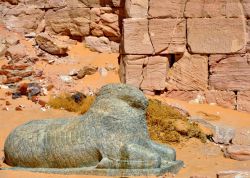 Dettaglio di un ariete nel Tempio di Amon in ...