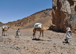 Carico di Sale sui cammelli nel cratere di Al ...