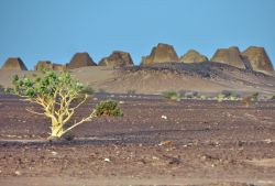 le Piramidi della necropoli reale di Meroe all'alba. ...