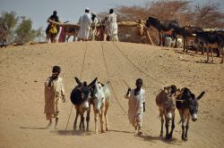 Il Gruppo etnico degli Shaqiya in Sudan, estrae ...