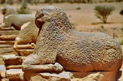 Arieti, simbolo della divinitò, in fila ...