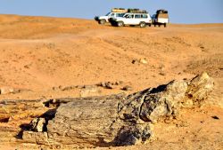 Foresta Pietrificata nel deserto del Sudan. Ci ...