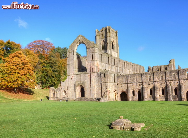 Fountains Abbey, North Yorkshire, Inghilterra - Ritorniamo in Europa e questa volta tocchiamo i paesaggi dell'Inghilterra, dei parchi Moors e Dales con la raccomandazione di stare particolarmente attenti, dato che dovremo guidare tenendo la sinistra! Il percorso parte da Kendal, sulla costa ovest dello Yorkshire e in poco più di 200 km conduce sulla costa orientale della contea dello Yorkshire, sul bel villaggio costiero di Whitby, appena a nord di Scarborough. Morbide colline con fitte brughiere si alternano a verdi prati, con veri gioielli come l'abbazia di Fountains Abbey, un vero gioiello architettonico, sebbene solo una rovina  - © Debu55y / Shutterstock.com