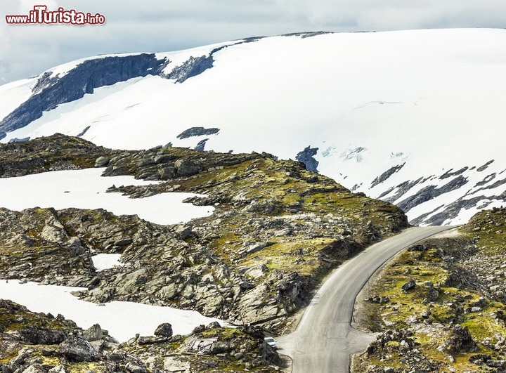 Strada di montagna vicino al  fiordo di Geiranger, Norvegia -  Il percorso parte da da Bergen, dove visiterete il famoso quartiere Brygge, si muove verso est e nord, dapprima in direzione di Gudvangen, da dove un traghetto vi porterà attraverso il Naerlandsfiord, il fiordo più lungo e più profondo del mondo, fino a Balestrand. Poi il percorso si snoda tra le Alpi Norvegesi, toccando luoghi mitici come Geiranger, Stryn e attraverso il passo mozzafiato di Trollstigen, tuffandosi  fino ad Andalsnes. Da qui l'ulti tratto con traghetto a Molde e la spettacolare strada dell'oceano, la Atlanterhavsvegen fino a Kristiansud - © Vlada Zhykharieva / Shutterstock.com