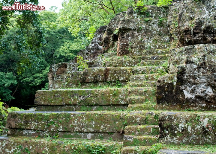 Tempio Maya Uaxactun Guatemala 46790839 - Immerso nel dipartimento di Petén, nel Guatemala settentrionale, Uaxactun è stato uno dei primi siti archeologici scavati nella zona conosciuta come le pianure dei Maya. Riscoperto nel 1916 dal famoso archeologo Sylvanus Morley gli  scavi iniziarono nel 1924. In questi scavi pionieristici, gli archeologi svilupparono nuove metodologie per gli studi mesoamericani, che sono ancora oggi utilizzate. Le prime strutture pubbliche in Uaxactun risalgono al 600 a.C. , ma la ricerca archeologica suggerisce che il sito potrebbe essere stato occupato 400 anni prima, rendendolo quindi uno degli insediamenti Maya più lungamente occupati. Molte delle antiche strutture nel sito hanno bisogno di conservazione, tra cui 18 importanti maschere di stucco che si trovano in uno stato di degrado avanzato . Il sito si trova all'interno della Riserva della Biosfera Maya , nella zona cuscinetto di Tikal , una area che avrebbe un grande potenziale di sviluppo e turismo. Attualmente il sito riceve pochi turisti, dal momento che molte persone non sono a conoscenza della sua vicinanza e del facile accesso dalla popolare destinazione turistica di Tikal - © Odina / Shutterstock.com