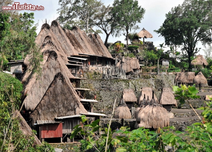 Villaggio tradizionale isola di Flores, Indonesia - I villaggi Ngada di Desa Guru Sina , Desa Langa, Desa Bela , e Desa Lina tiwa sono immersi tra le pendici di due vulcani, il Gunung Inerie e Gunung Deru, nel remoto entroterra dell'isola di Flores. Queste comunità sono caratterizzate da una forma peculiare di architettura vernacolare, con elementi e decori destinati a proteggere gli abitanti e garantire un'armonia sostenibile con l'ambiente, gli spiriti ancestrali , e le forze naturali. Questi villaggi Ngada sono emblematici delle grandi sfide richieste oggi per la conservazione di tali insediamenti vernacolari in un mondo globalizzato, dal momento che il trasferimento di conoscenze tra le generazioni si è fratturato, le competenze e le risorse tradizionali per la loro manutenzione diventano sempre più rare e le architetture tendono a degradarsi  - © Matej Hudovernik / Shutterstock.com