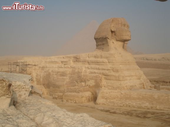 Le foto di cosa vedere e visitare a Egitto
