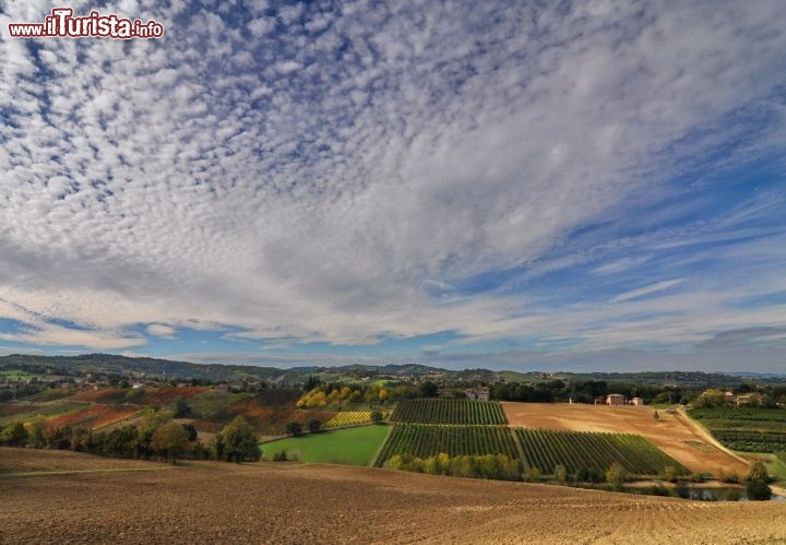 Panorama colline di Castelvetro come si ammira dall'Oratorio di San Michele - Le campagne intorno a Castelvetro sono una vera delizia per l'anima: le dolci colline sono curate in ogni dettaglio, e il paesaggio antropizzato diventa un vero paesaggio culturale, che la magina dell'autunno colora di tinte pastello indimenticabili