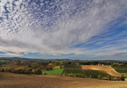 Panorama colline di Castelvetro come si ammira ...