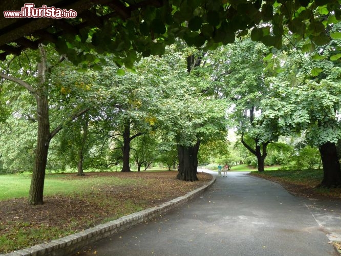 Immagine Brooklyn Botanic Garden