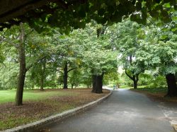 Brooklyn Botanic Garden