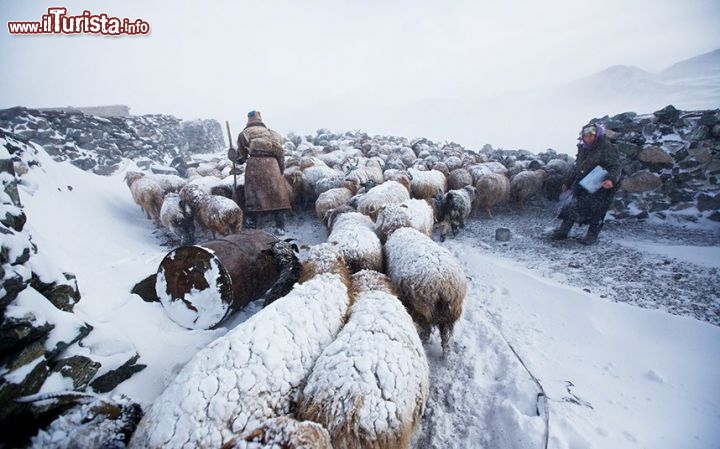 Monti Altai in Mongolia: alcuni pastori con un grecce dopo una intensa nevicata - ©  www.tpoty.com - Foto di Tariq Sawyer