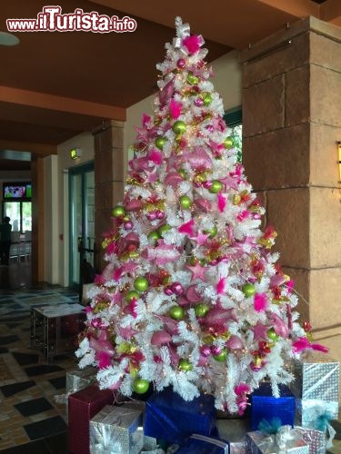 Immagine Albero di Natale vicino a Nasimi Beach all’Hotel Atlantis