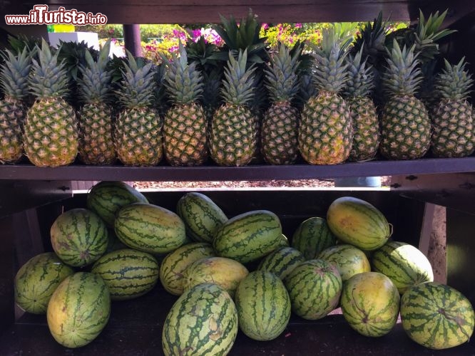 Frutta fresca e dissetante diponibile per gli ospiti dell’Aquaventure Waterpark