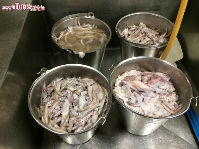 Il cibo per gli ospiti del The Lost Chambers Aquarium, Acquario dell’Atlantis di Dubai