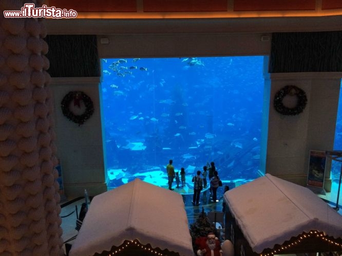 il famoso acquario in versione natalizia presso Atlantis The Palm di Dubai